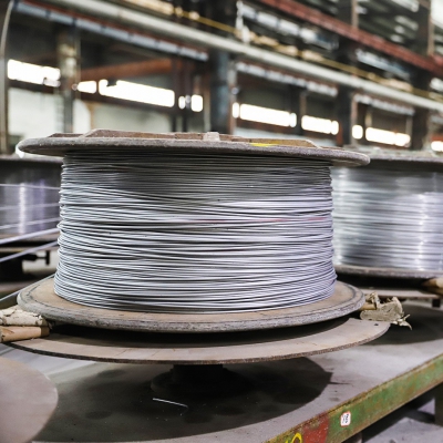 Stainless Steel Wire